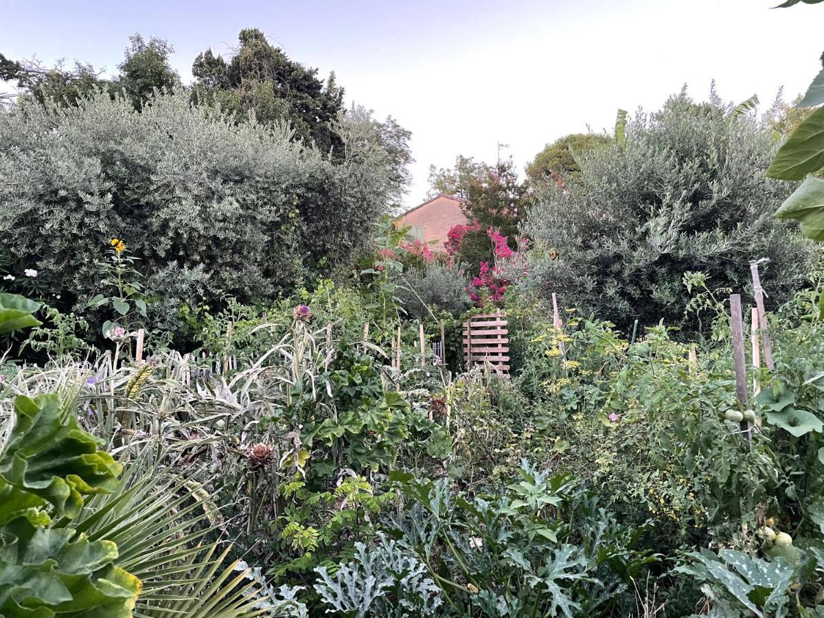 Villa Leona Clim Park Bollène Екстериор снимка