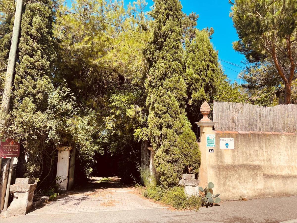Villa Leona Clim Park Bollène Екстериор снимка
