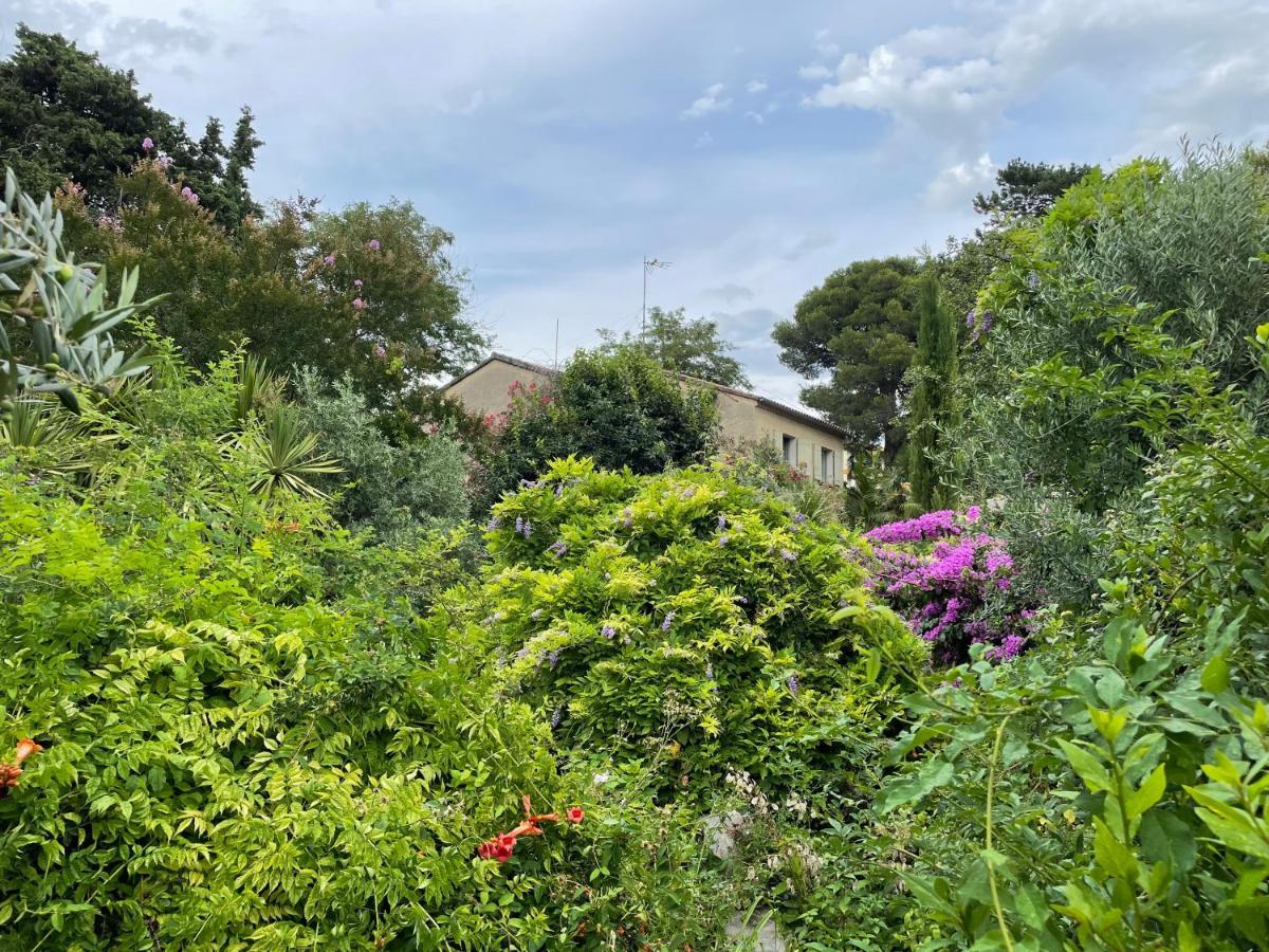 Villa Leona Clim Park Bollène Екстериор снимка