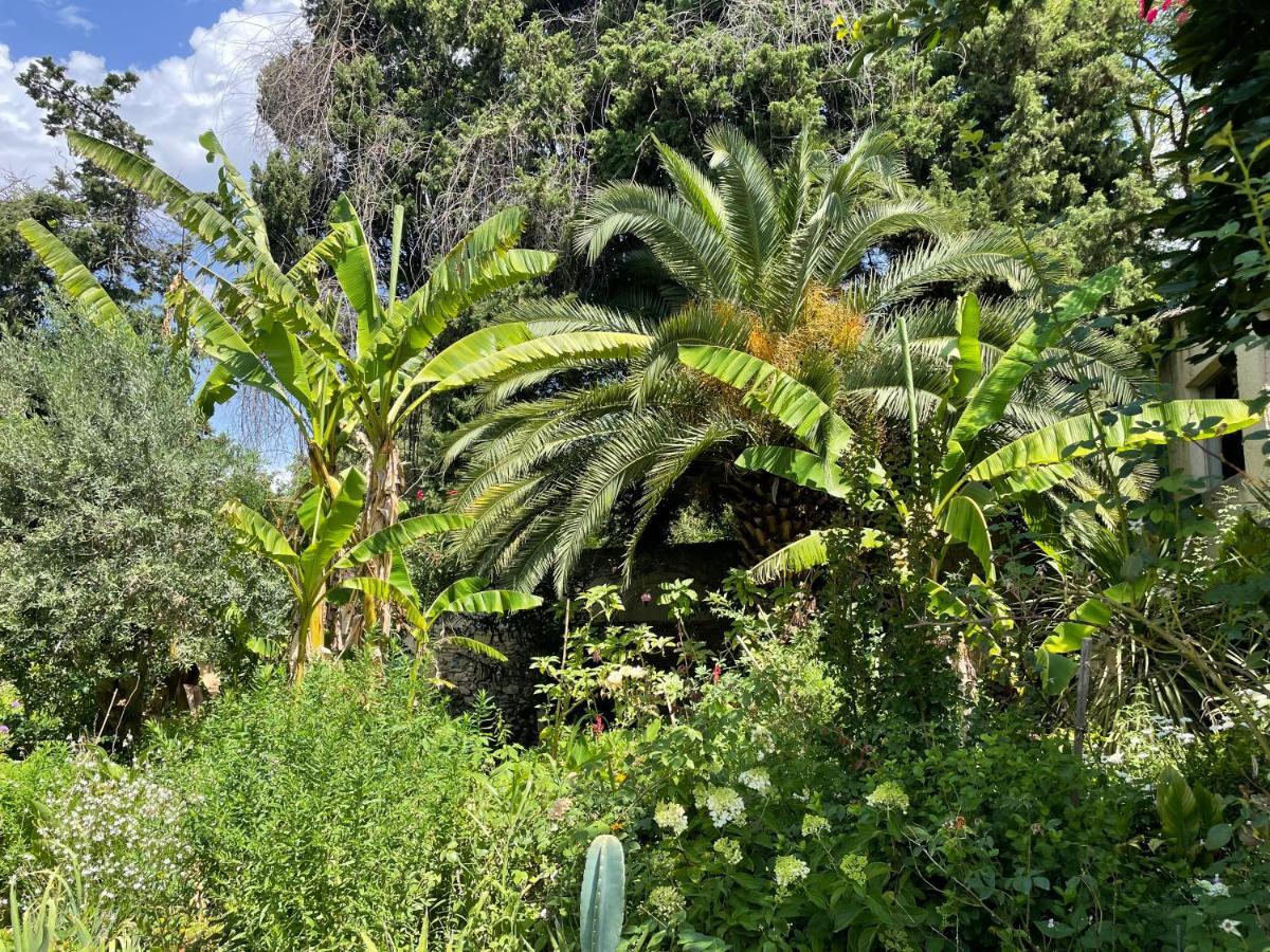Villa Leona Clim Park Bollène Екстериор снимка