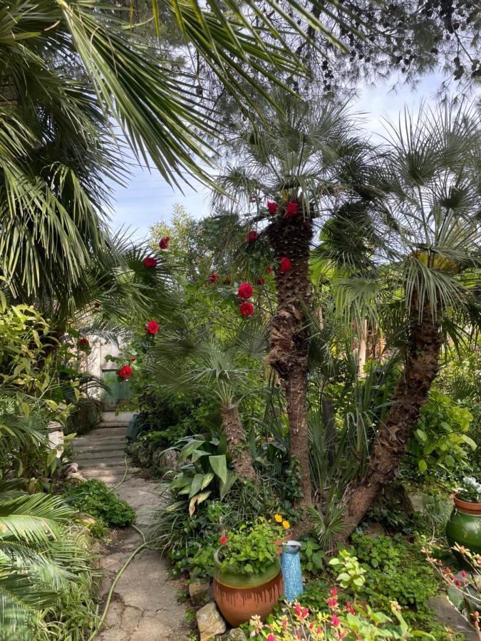Villa Leona Clim Park Bollène Екстериор снимка